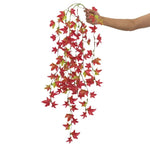 Hanging Fern for Reptiles