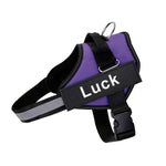 No-Pull Dog Harness