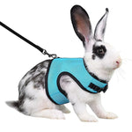 Rabbit Safety Harness