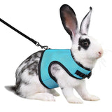 Rabbit Safety Harness