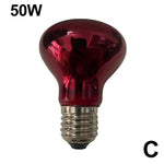 Terrarium Heat Lamp