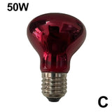 Terrarium Heat Lamp