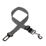 Dog Seat Belt