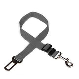 Dog Seat Belt