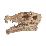 Skull Decoration for Terrariums