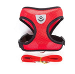 Cat Harness with Leash