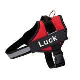No-Pull Dog Harness