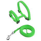 Rabbit Harness and Leash