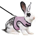 Rabbit Safety Harness