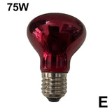 Terrarium Heat Lamp