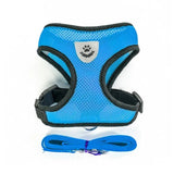 Cat Harness with Leash