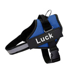 No-Pull Dog Harness