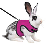 Rabbit Safety Harness