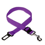 Dog Seat Belt