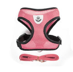 Cat Harness with Leash