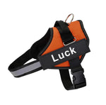 No-Pull Dog Harness