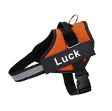No-Pull Dog Harness