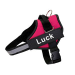 No-Pull Dog Harness
