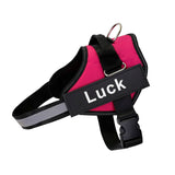 No-Pull Dog Harness