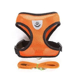 Cat Harness with Leash