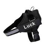 No-Pull Dog Harness