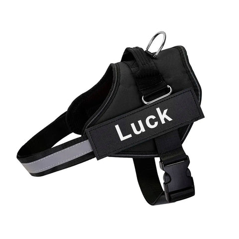 No-Pull Dog Harness