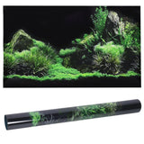 Decorative Aquarium Background