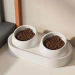 Double Cat Bowl