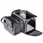 Cat Air Travel Carrier