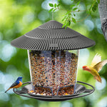 Outdoor Bird Feeder