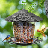 Outdoor Bird Feeder