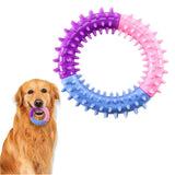 Rubber Ring Dog Toy
