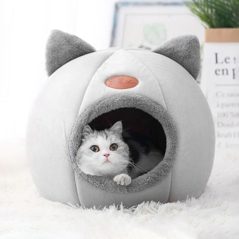 Igloo pour Chat