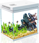 Kit Aquarium Débutant