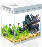 Kit Aquarium Débutant
