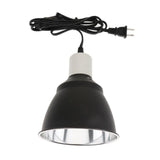 Lampe Halogène Reptiles