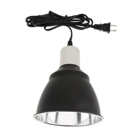 Lampe Halogène Reptiles