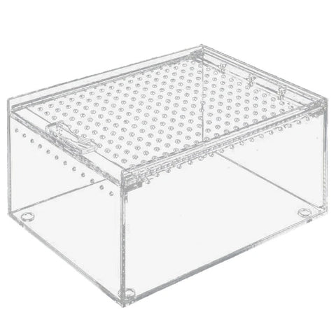 Bac Substrat Terrarium