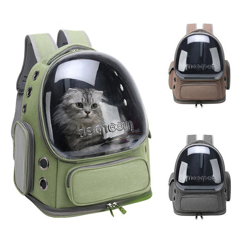 Sac à Dos Transparent Chat