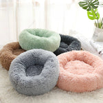 Orthopedic Cat Bed