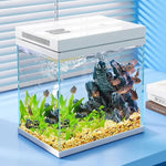 Beginner Aquarium Kit