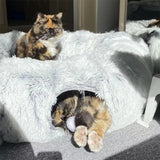 Soft Cat Cushion