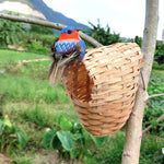 Bird Breeding Nest