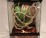 Lianes Flexibles Reptiles