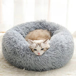 Orthopedic Cat Bed