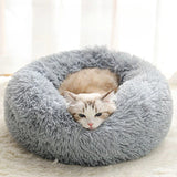 Orthopedic Cat Bed