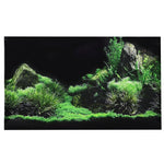 Fond Décoratif Aquarium