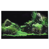 Fond Décoratif Aquarium