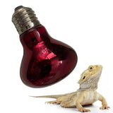 Terrarium Heat Lamp