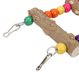 Colorful Bird Ladder